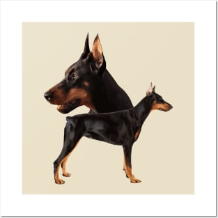 Dobermann - Doberman Pinscher Posters and Art